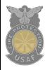 6 - Deputy Chief Metal Badge